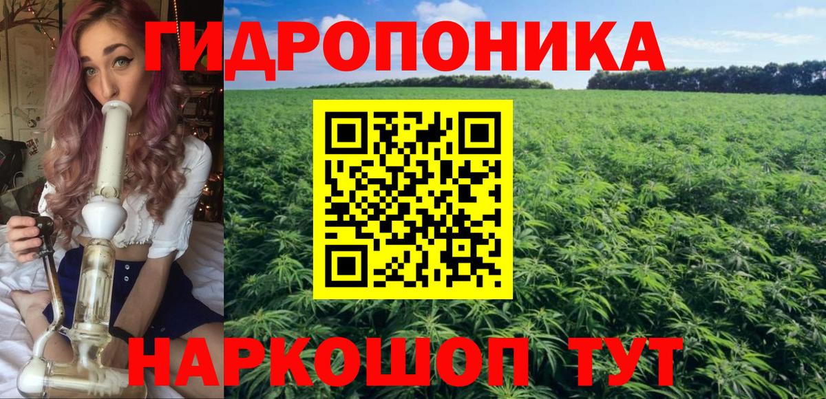 Марихуана план  МАРИХУАНА индика  Вход с VPN  Жигулёвск 